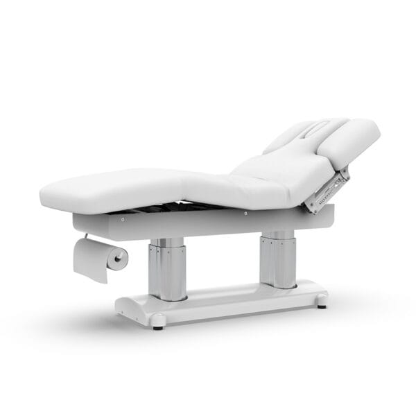 SILVERFOX Derma Bed 2249