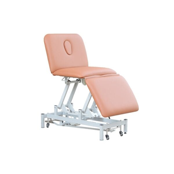 3-Section Physical Therapy Bed