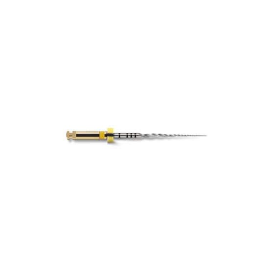 ProTaper Next: X1 - 21mm (3)