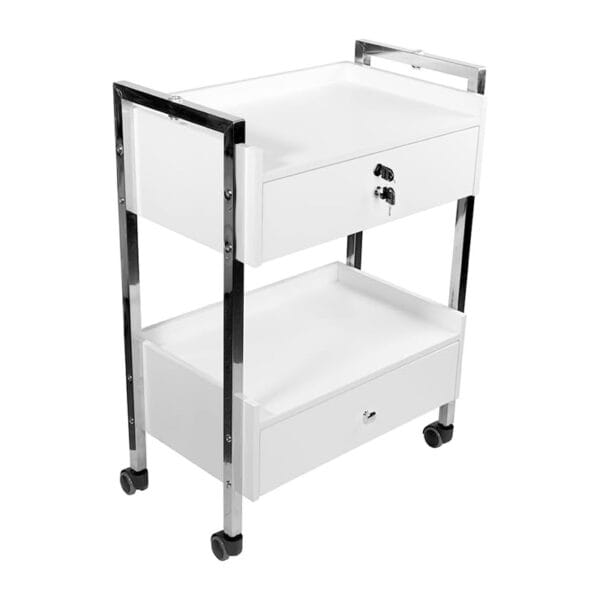 Supreme Medical/Dental Mobile Cabinet – 2 Drawers (1 Lockable)