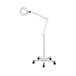 magnifying lamp with stand