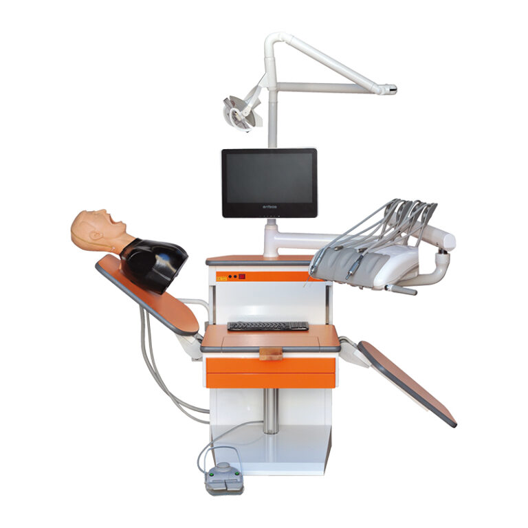 Characteristics-of-the-Butterfly-line-